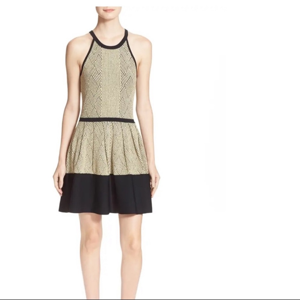 Parker XS Black and Gold Dress